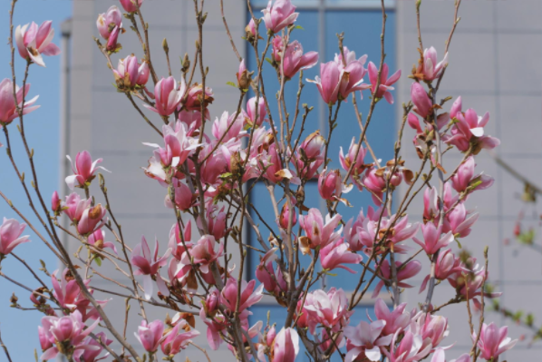 1748067271.png image.png