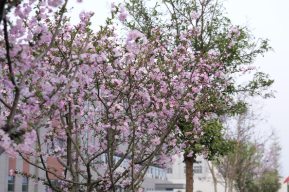 1748067608.png image.png