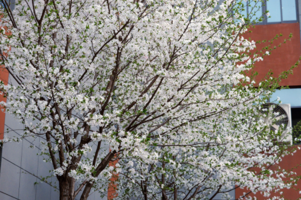 1748067731.png image.png