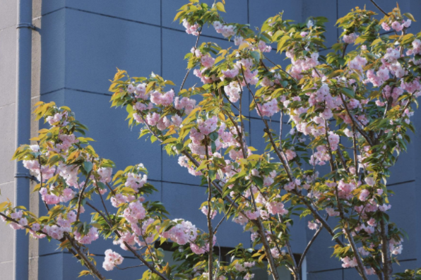 1748067759.png image.png