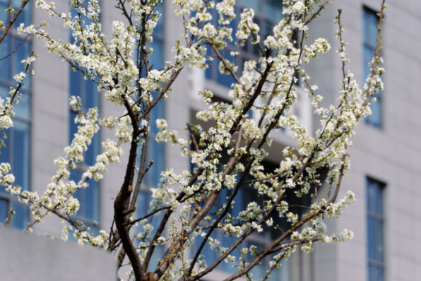 1748067958.png image.png