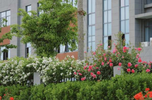 1748068109.png image.png